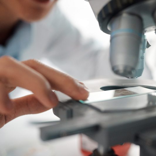 Lab
